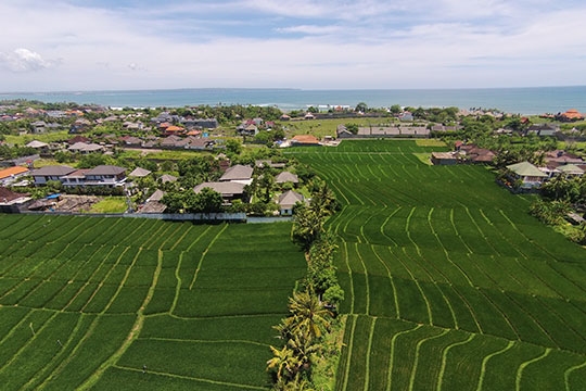 Ricefields and beachside
